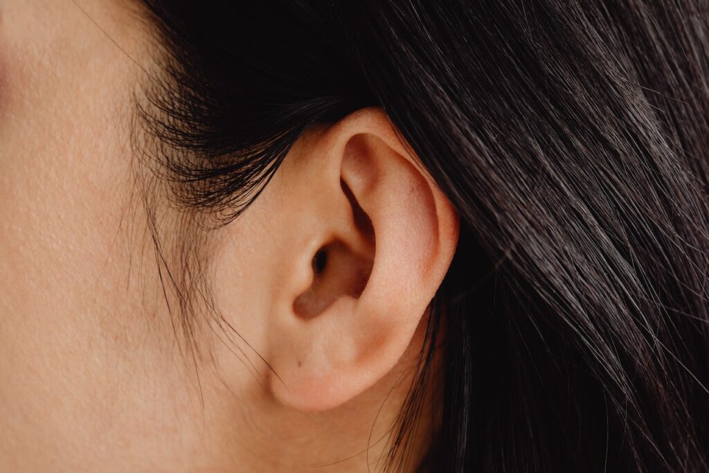 ear