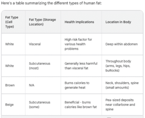 graph on fat types