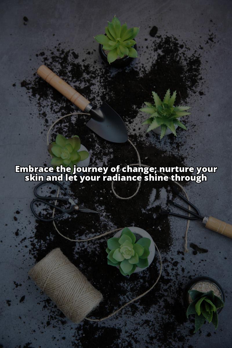 plant potting tools and soil - Image of A flat lay of recommended skincare products, Health